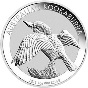 Kookaburra-2011
