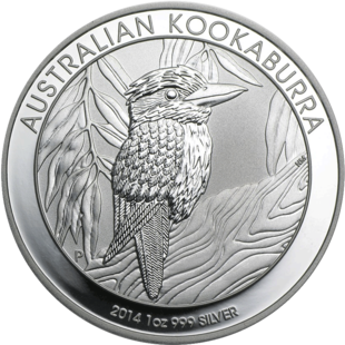 Kookaburra-2014